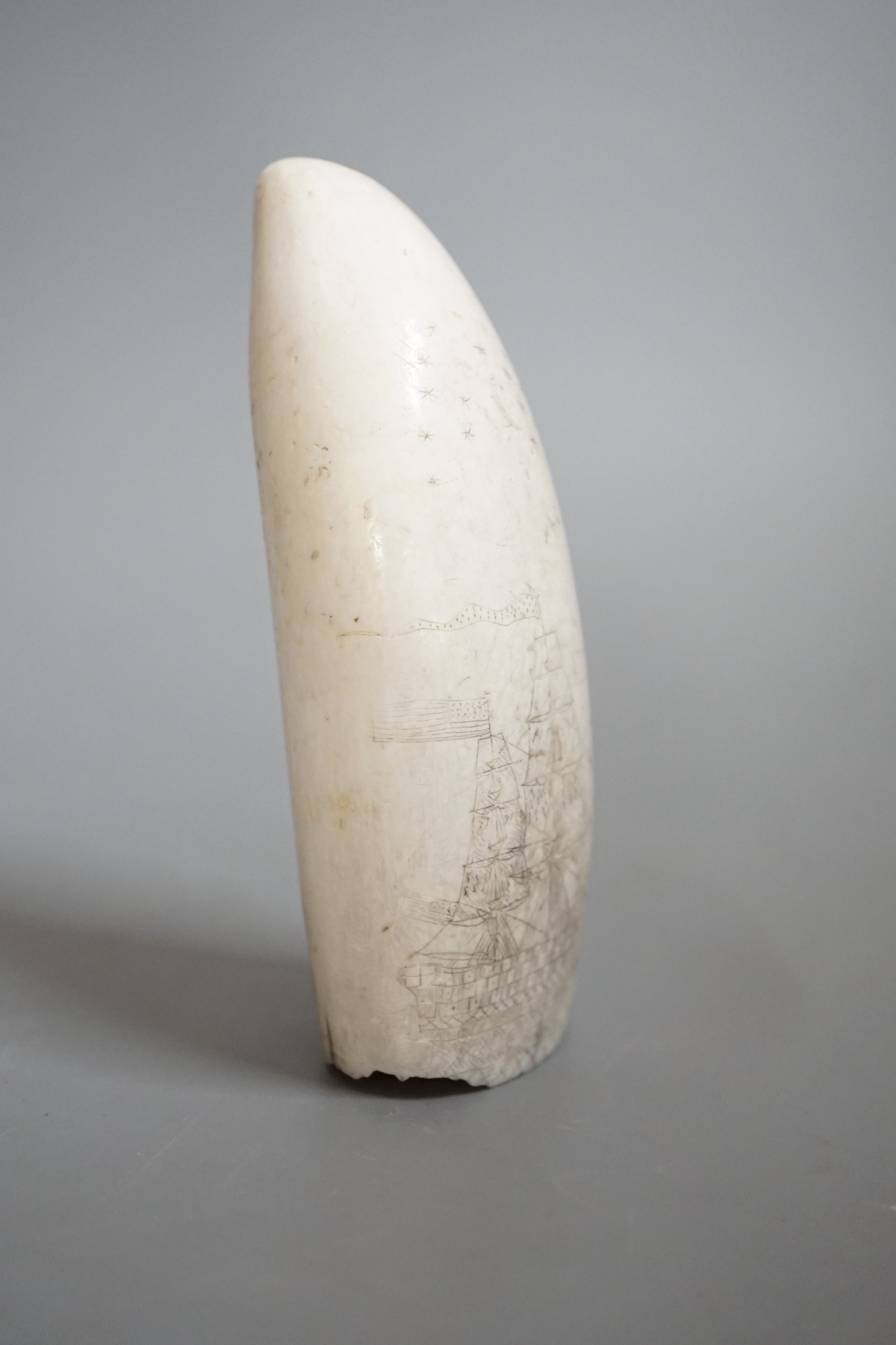 A 19th century scrimshaw sperm whale tooth, 13cm high